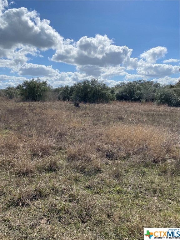 3466 Levi Sloan Road Property Photo 1