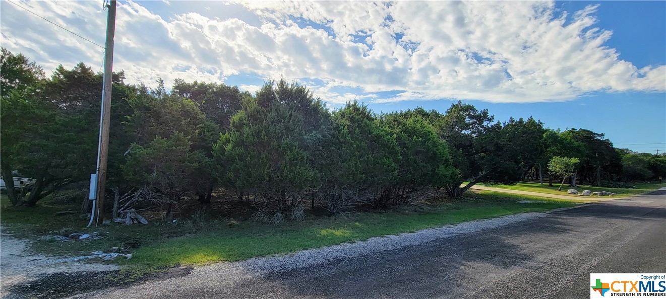 16082 Charlya Drive Property Photo 4