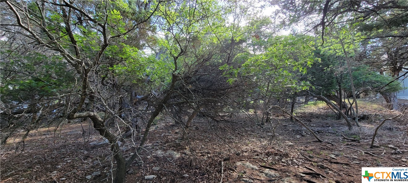 16082 Charlya Drive Property Photo 10
