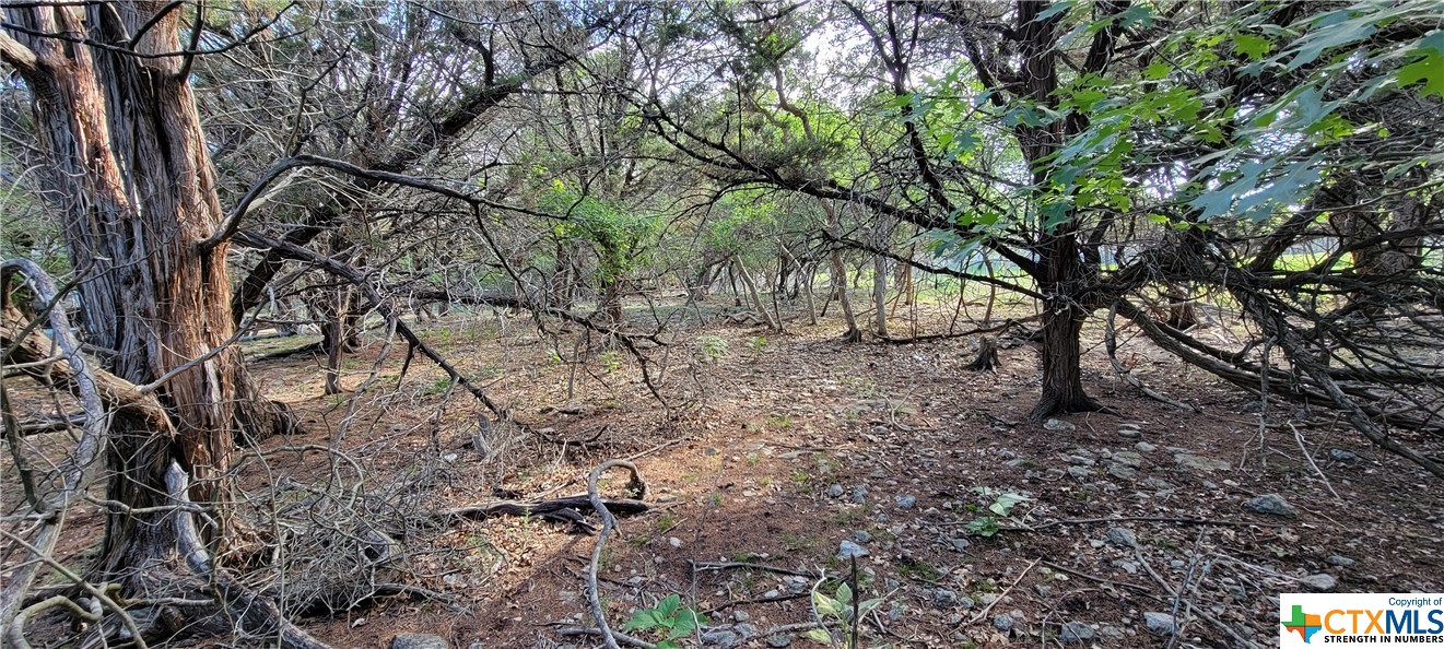 16082 Charlya Drive Property Photo 12