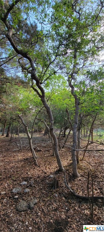 16082 Charlya Drive Property Photo 13