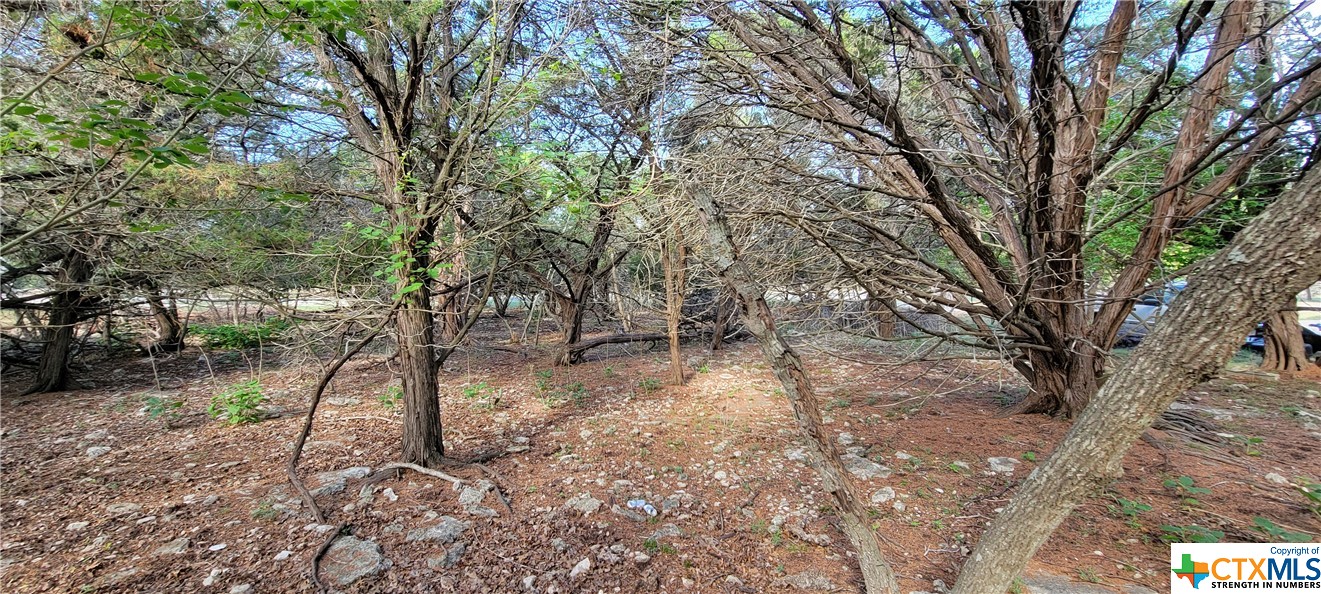 16082 Charlya Drive Property Photo 14