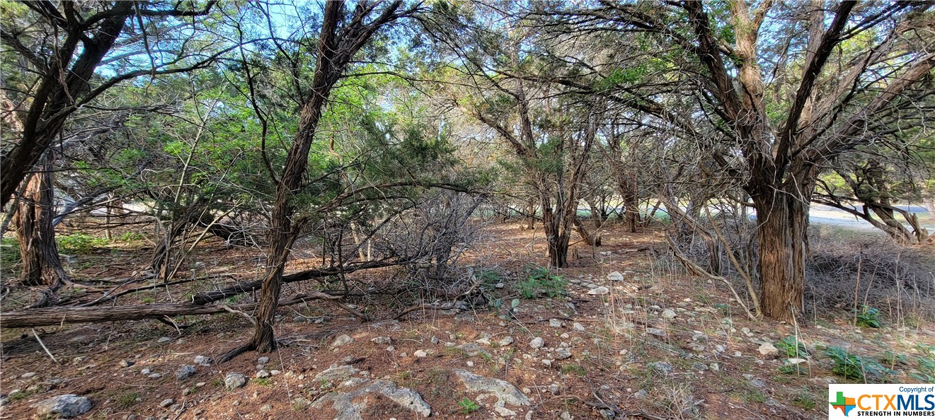 16082 Charlya Drive Property Photo 16