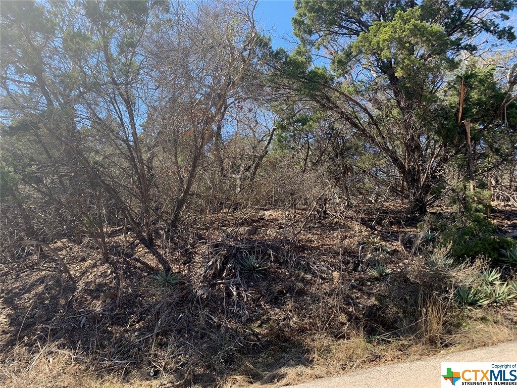 6487 Hood Trail Property Photo 1