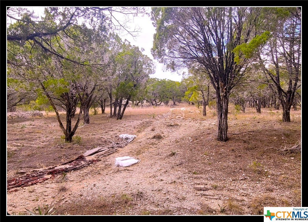 00 Lakeside Drive Property Photo 5