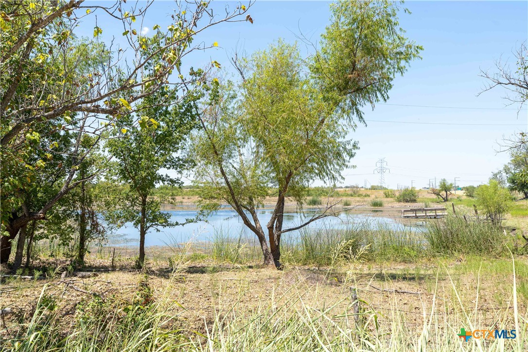Tbd Bluebonnet Road Property Photo 20
