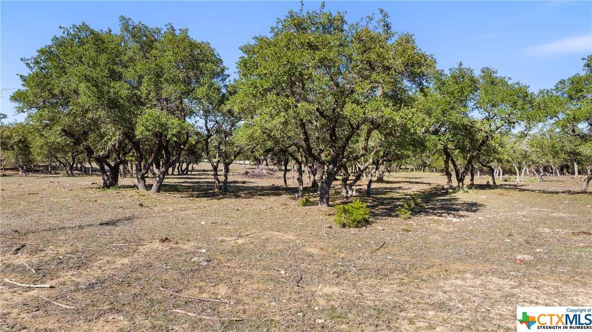 5400 Fm 2325 Property Photo 4