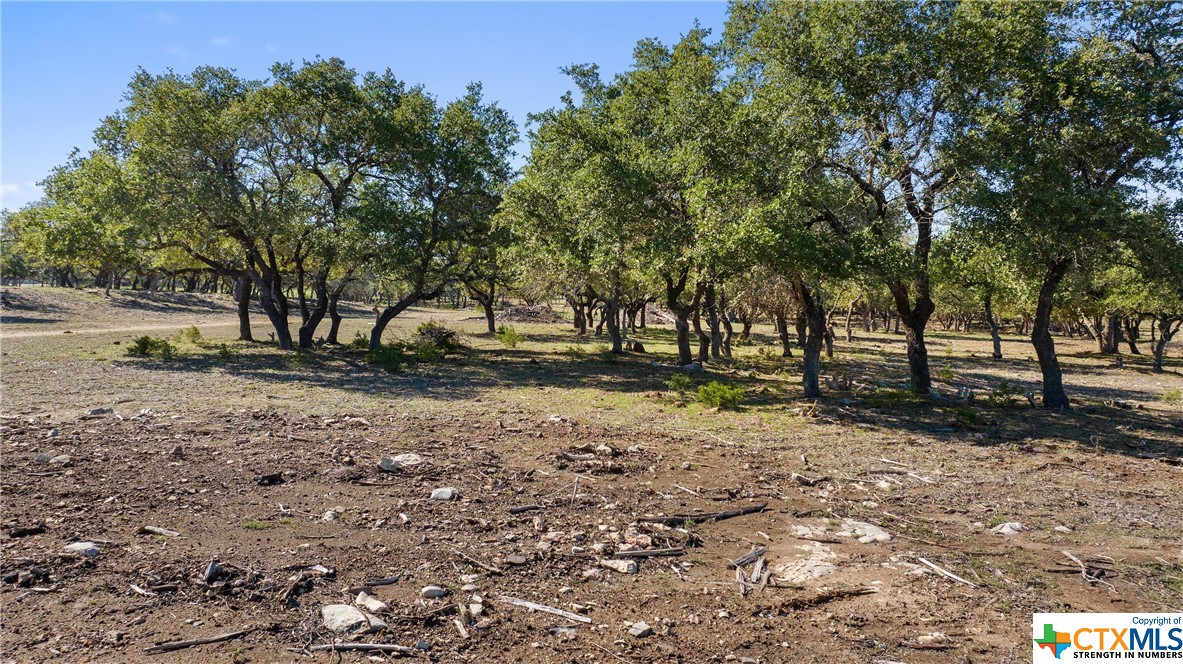 5400 Fm 2325 Property Photo 21