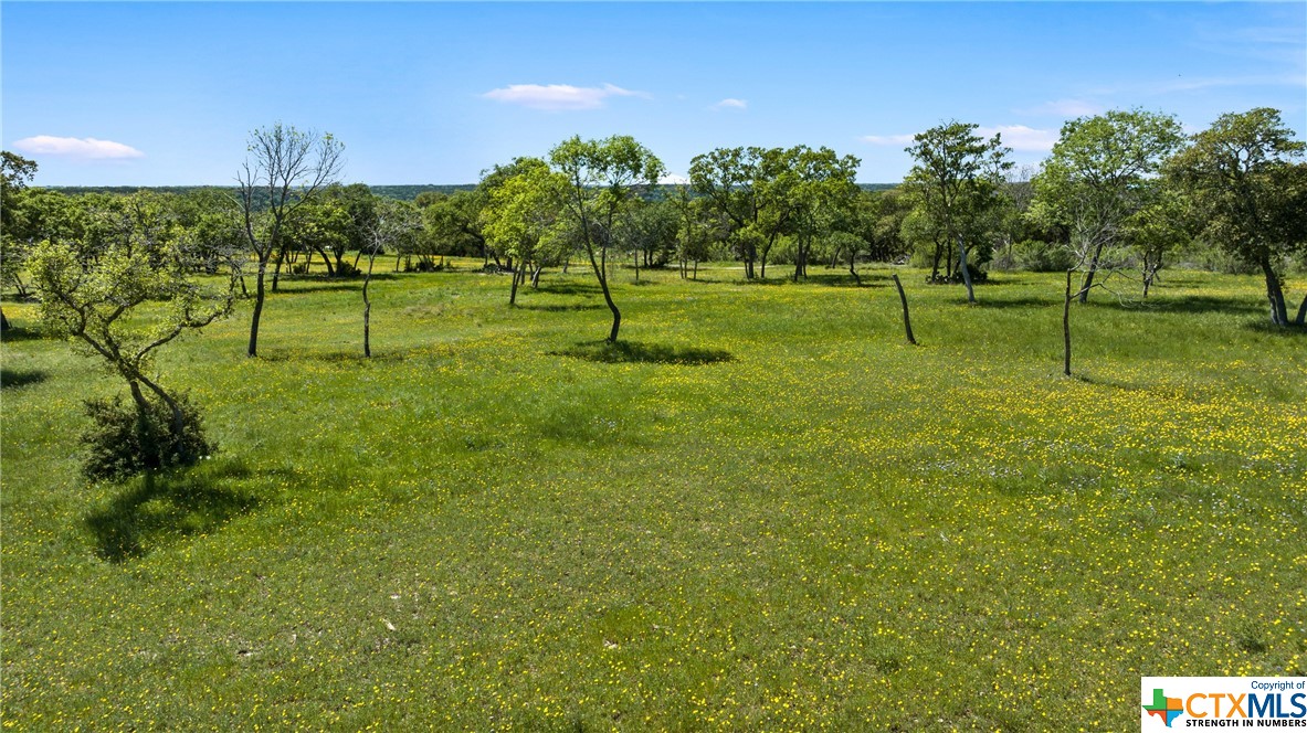 Lot 14, Block 1 Cliffs At Lake Belton Phase 2 Property Photo 11