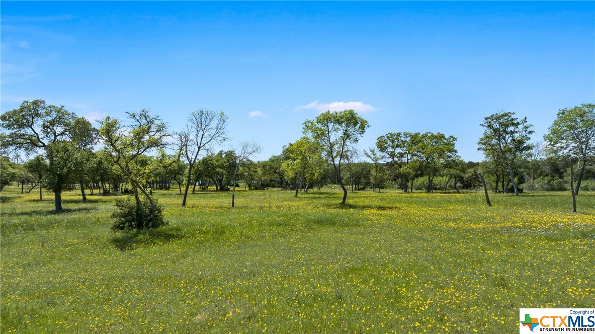 Lot 14, Block 1 Cliffs At Lake Belton Phase 2 Property Photo 12