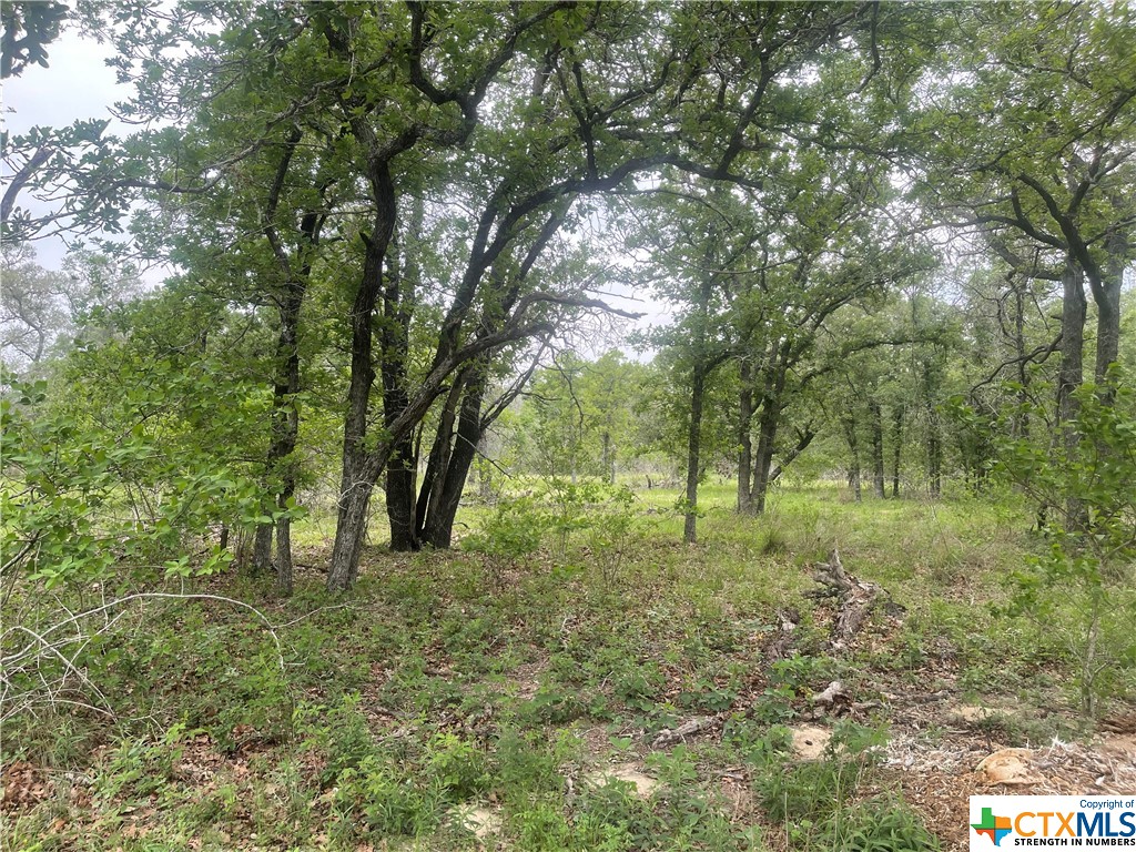 Tbd Cr 427 Property Photo