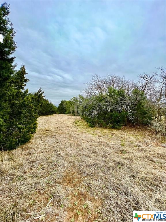 8601 Trimmier Road Property Photo 3
