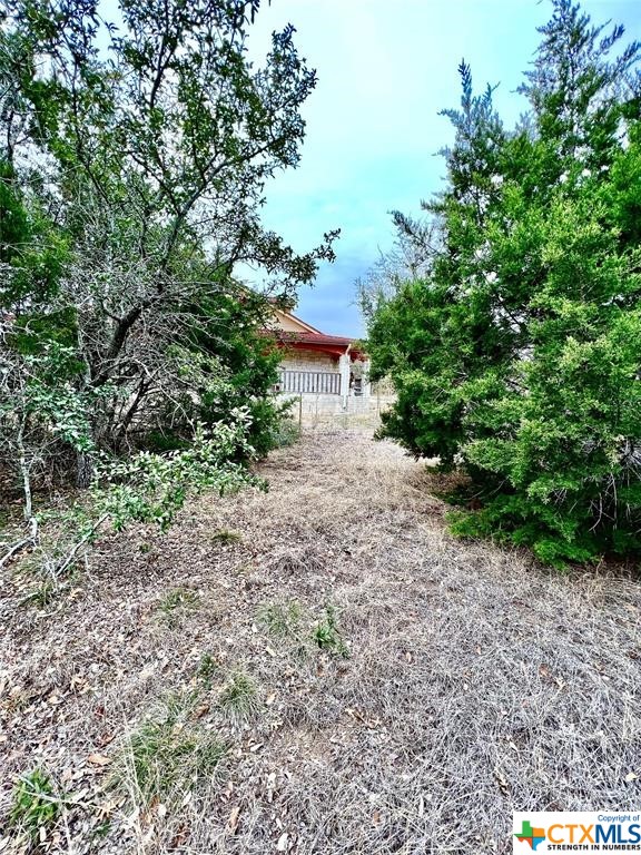 8601 Trimmier Road Property Photo 4