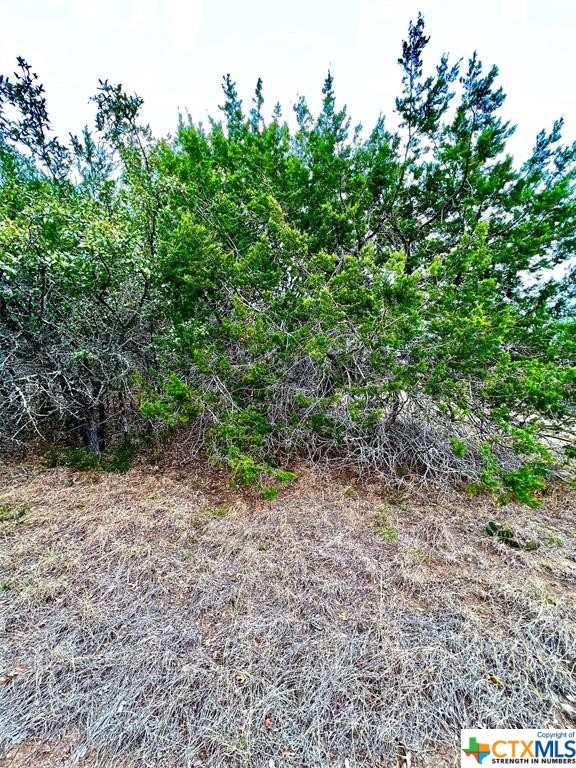 8601 Trimmier Road Property Photo 5