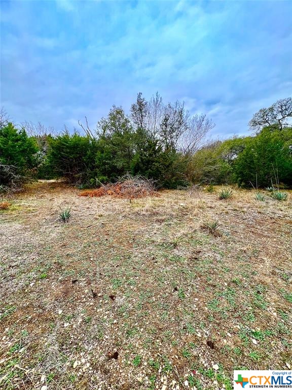 8601 Trimmier Road Property Photo 7