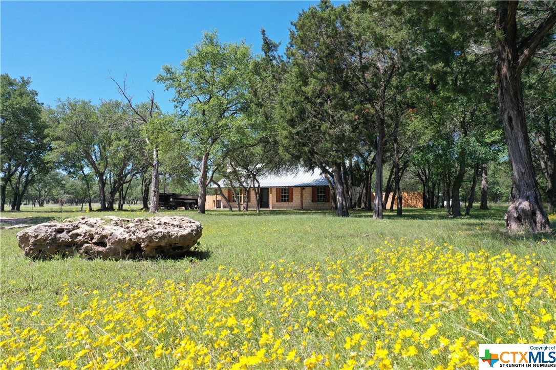 12301 Salado Springs Circle Property Photo 1