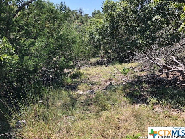 Lot 8 Longview Drive Property Photo 1