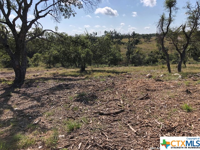 Lot 8 Longview Drive Property Photo 3