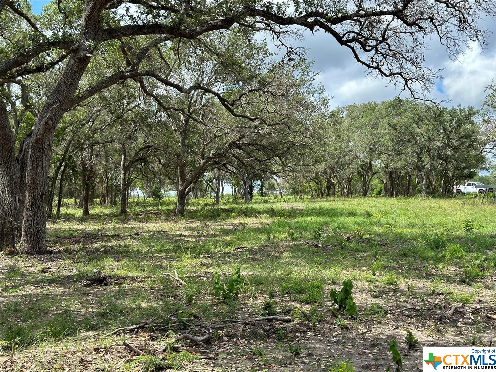 1776 Fm 1351 Property Photo