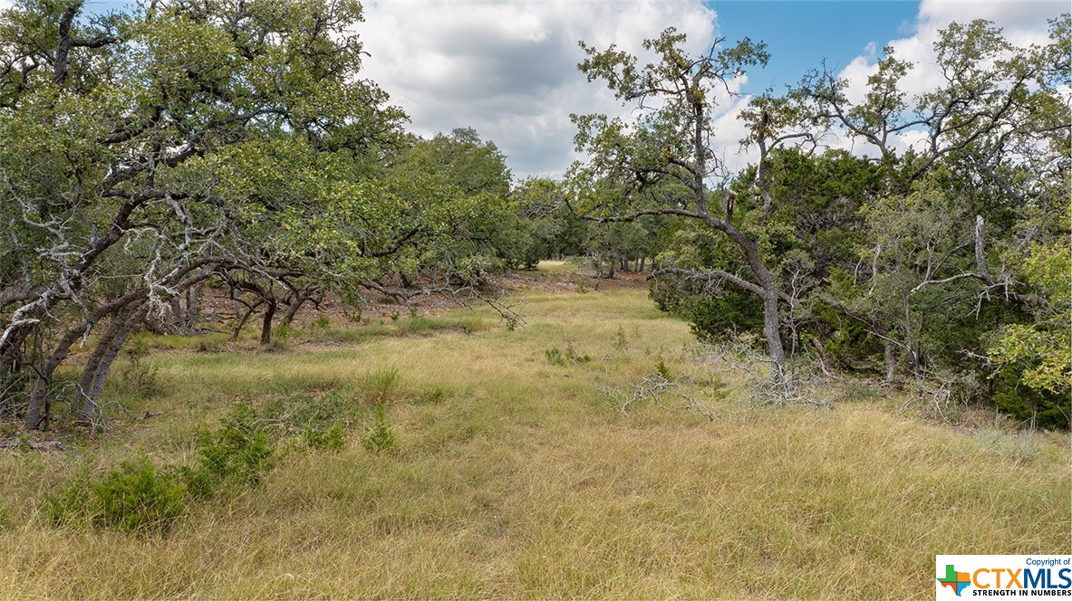 34810 Last Stage Way Property Photo 12