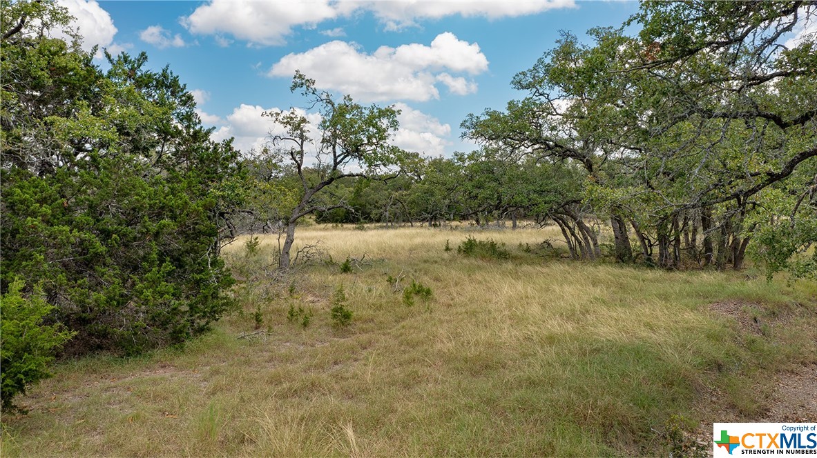 34810 Last Stage Way Property Photo 13