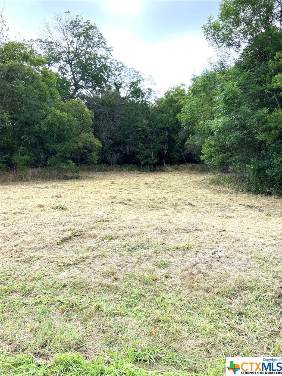 000 Pecan Street Property Photo 1