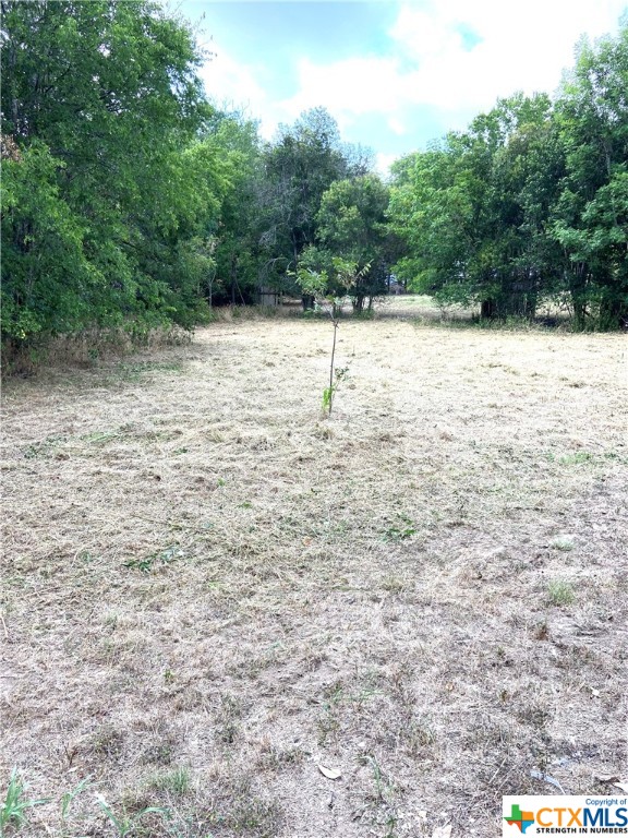 000 Pecan Street Property Photo 2