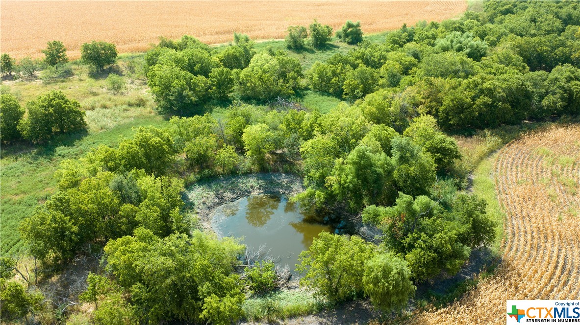 Tbd County Road 418b Property Photo 2