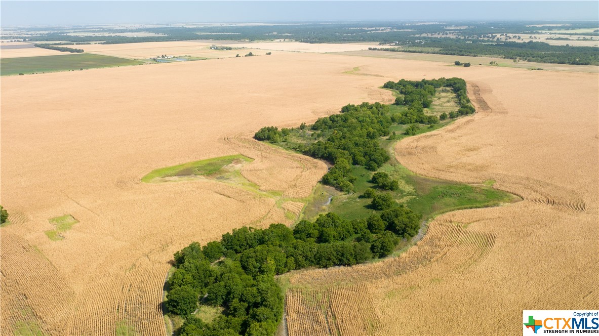Tbd County Road 418b Property Photo 8