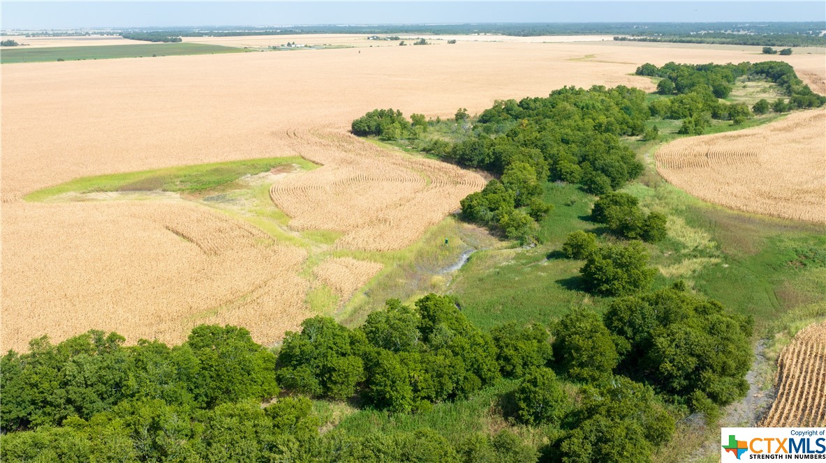 Tbd County Road 418b Property Photo 9