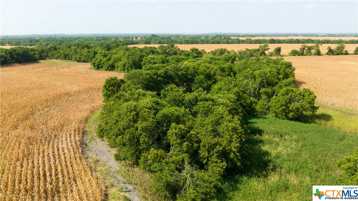 Tbd County Road 418b Property Photo 10