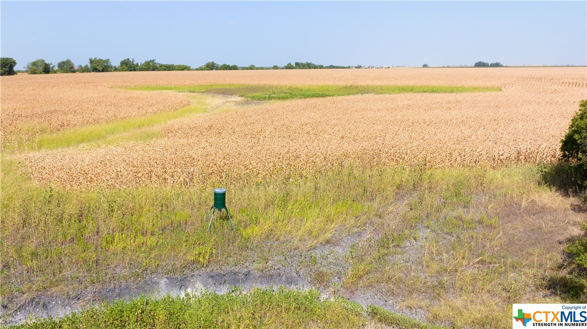 Tbd County Road 418b Property Photo 11
