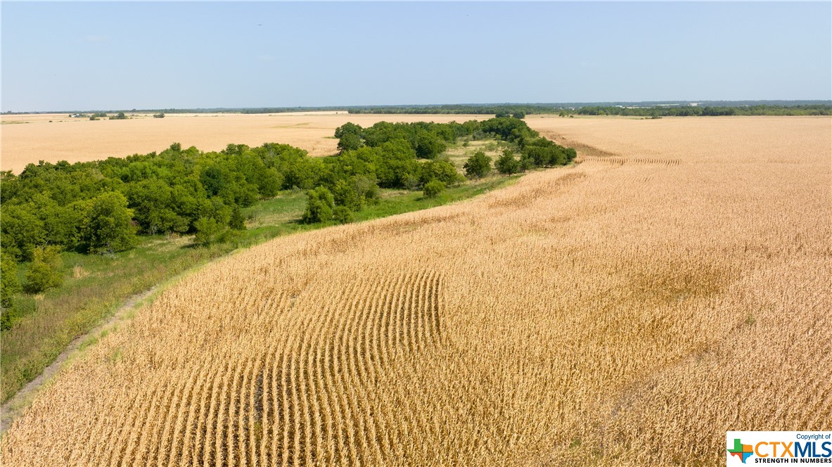 Tbd County Road 418b Property Photo 12