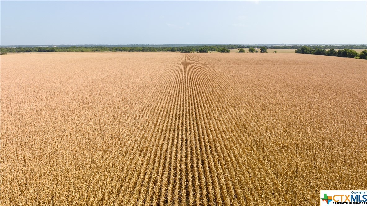 Tbd County Road 418b Property Photo 13