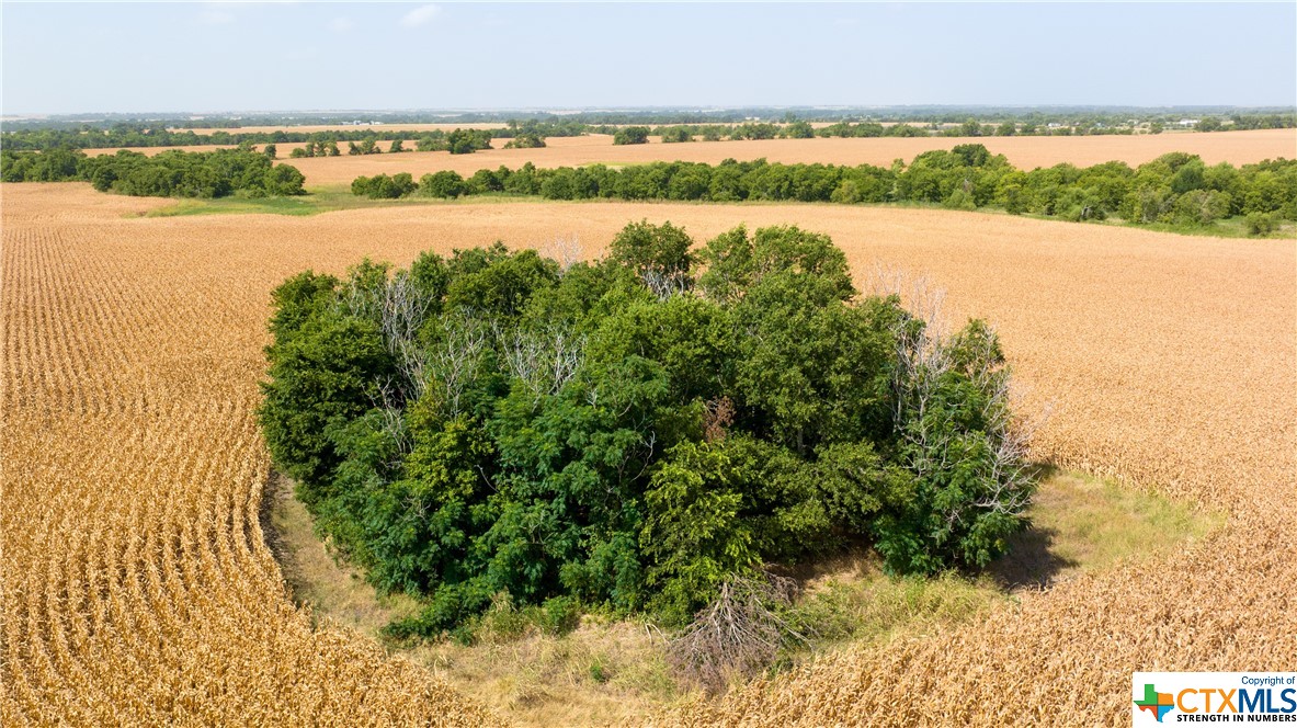 Tbd County Road 418b Property Photo 14