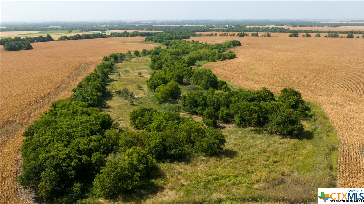 Tbd County Road 418b Property Photo 15