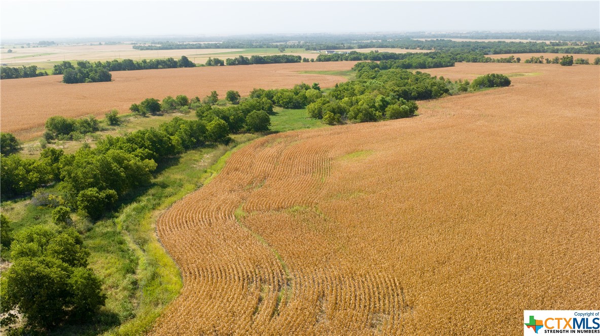 Tbd County Road 418b Property Photo 16