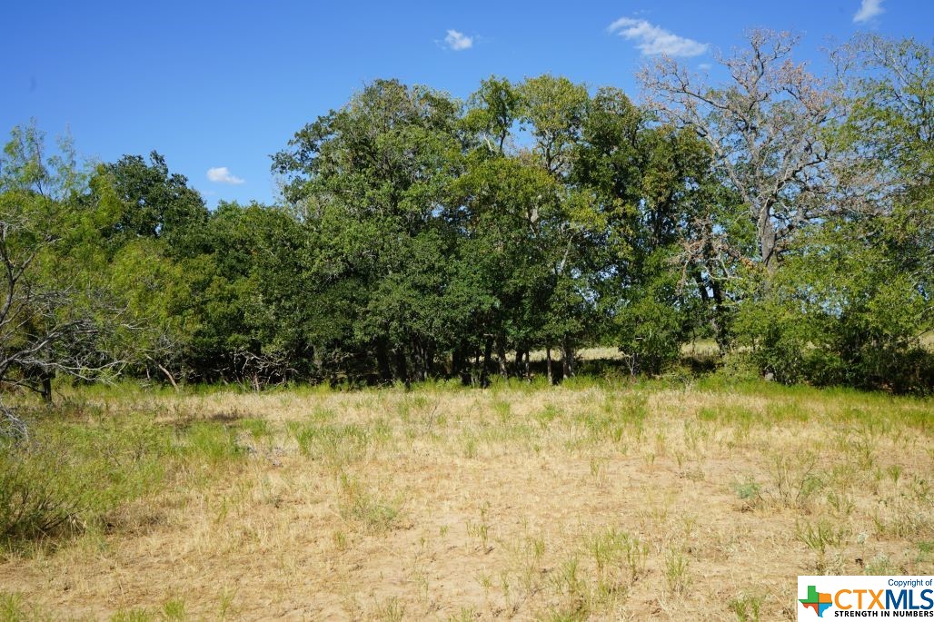 Tbd Tr 1 Cr 236a Property Photo 2