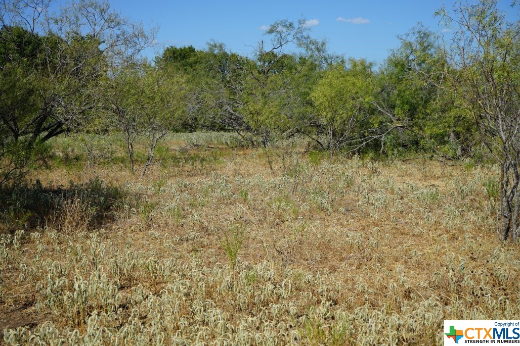 Tbd Tr 1 Cr 236a Property Photo 3