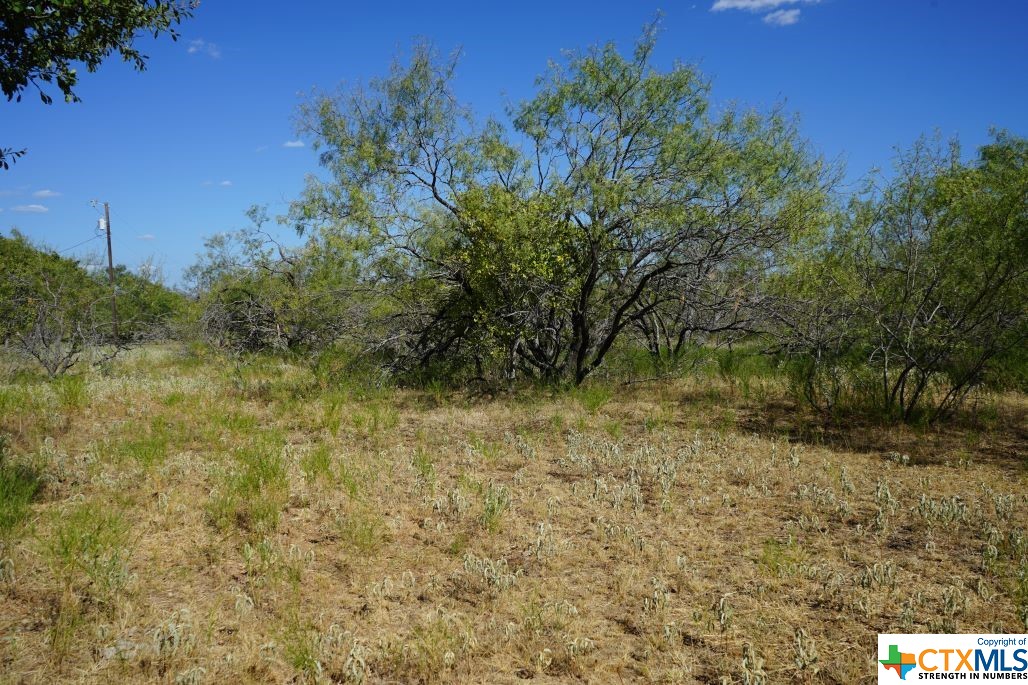 Tbd Tr 1 Cr 236a Property Photo 5