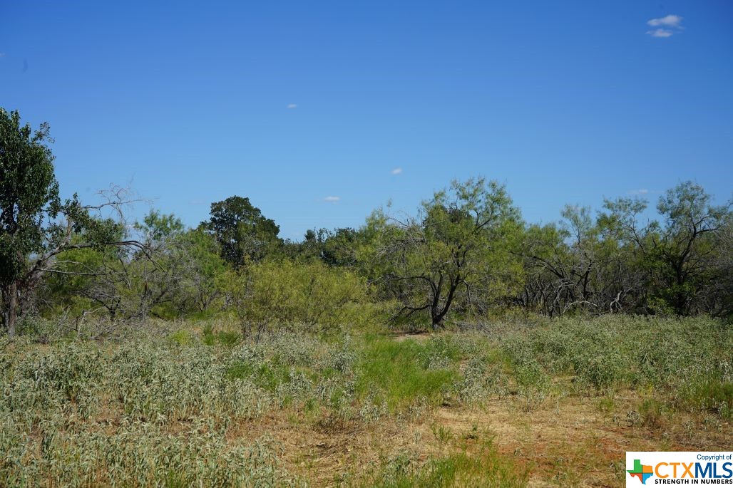 Tbd Tr 1 Cr 236a Property Photo 6