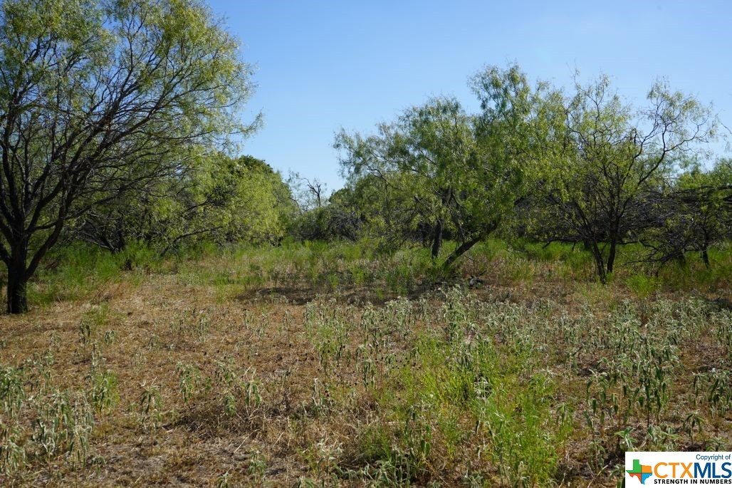 Tbd Tr 1 Cr 236a Property Photo 8