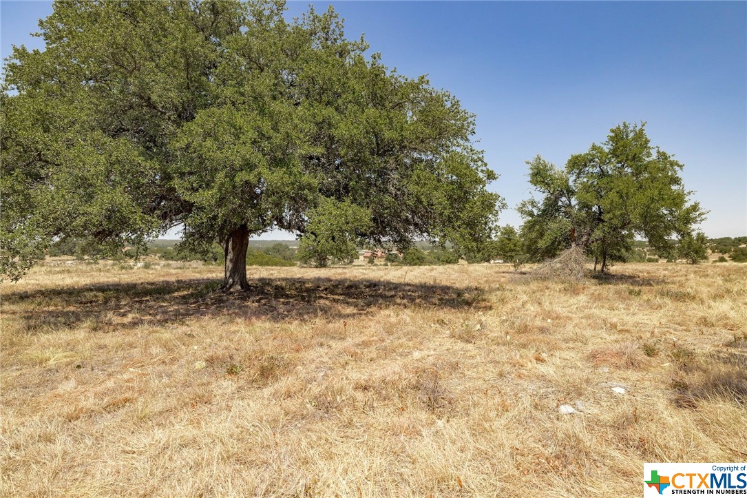 301 Strada Luca Property Photo 4