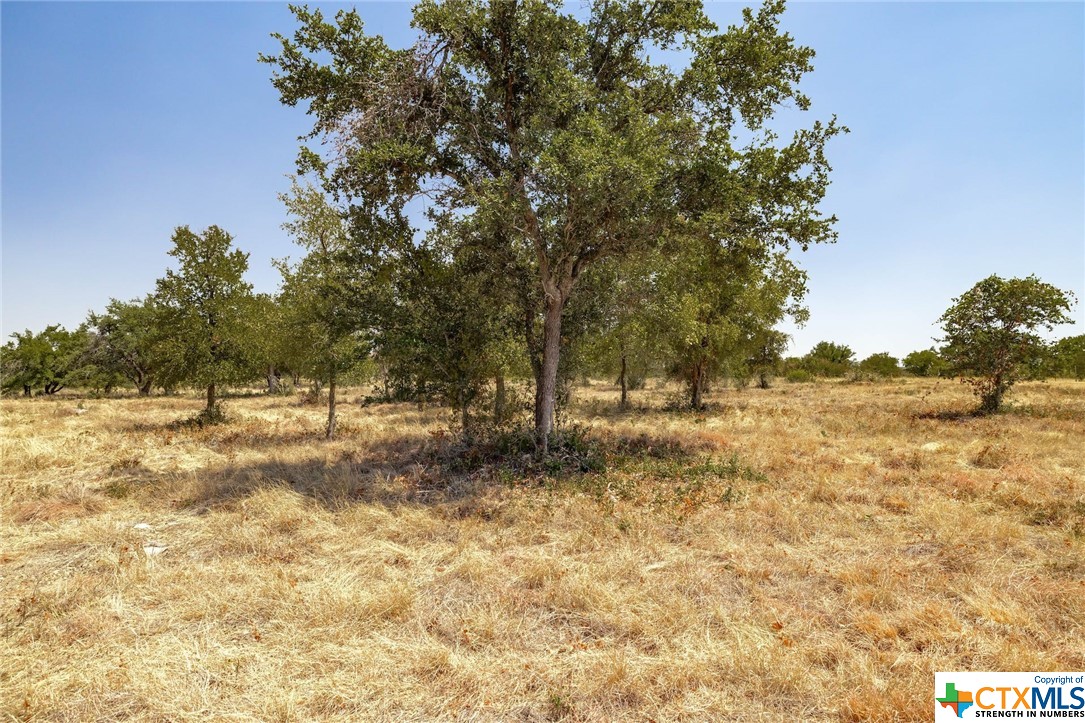 301 Strada Luca Property Photo 21