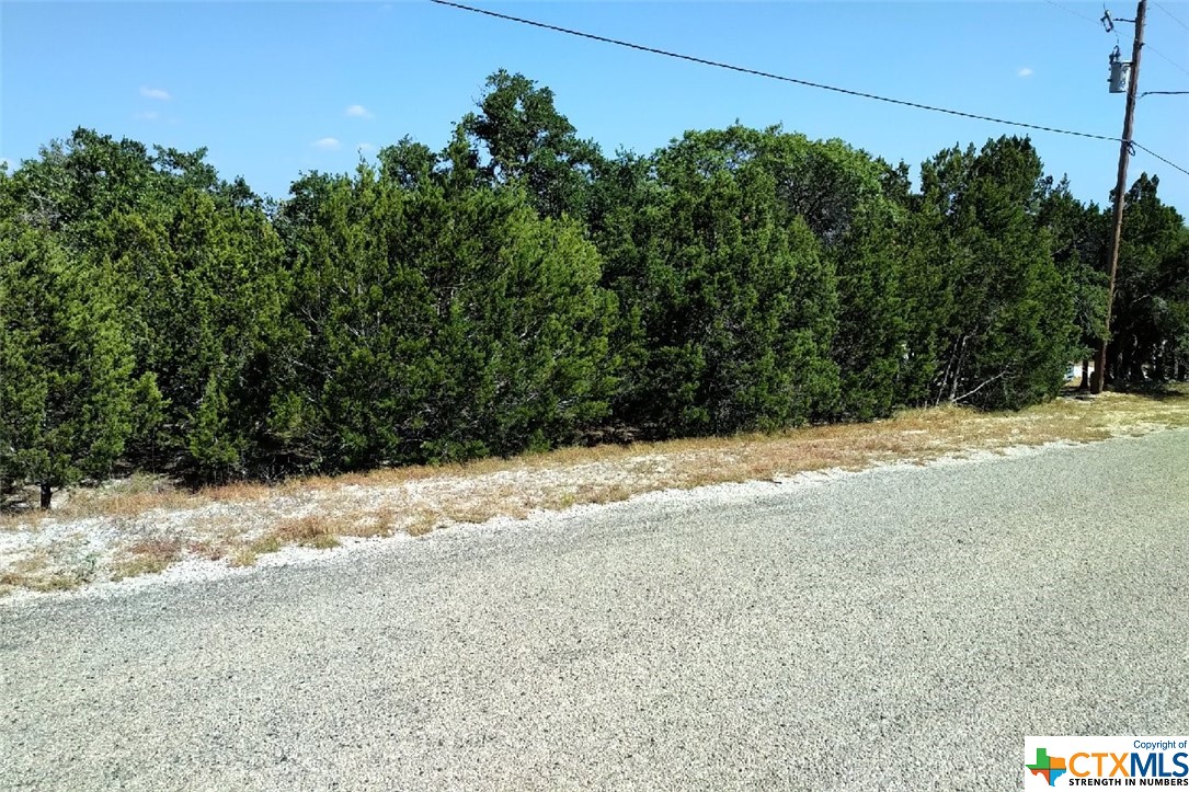 1151 Rocky Ridge Loop Property Photo 1