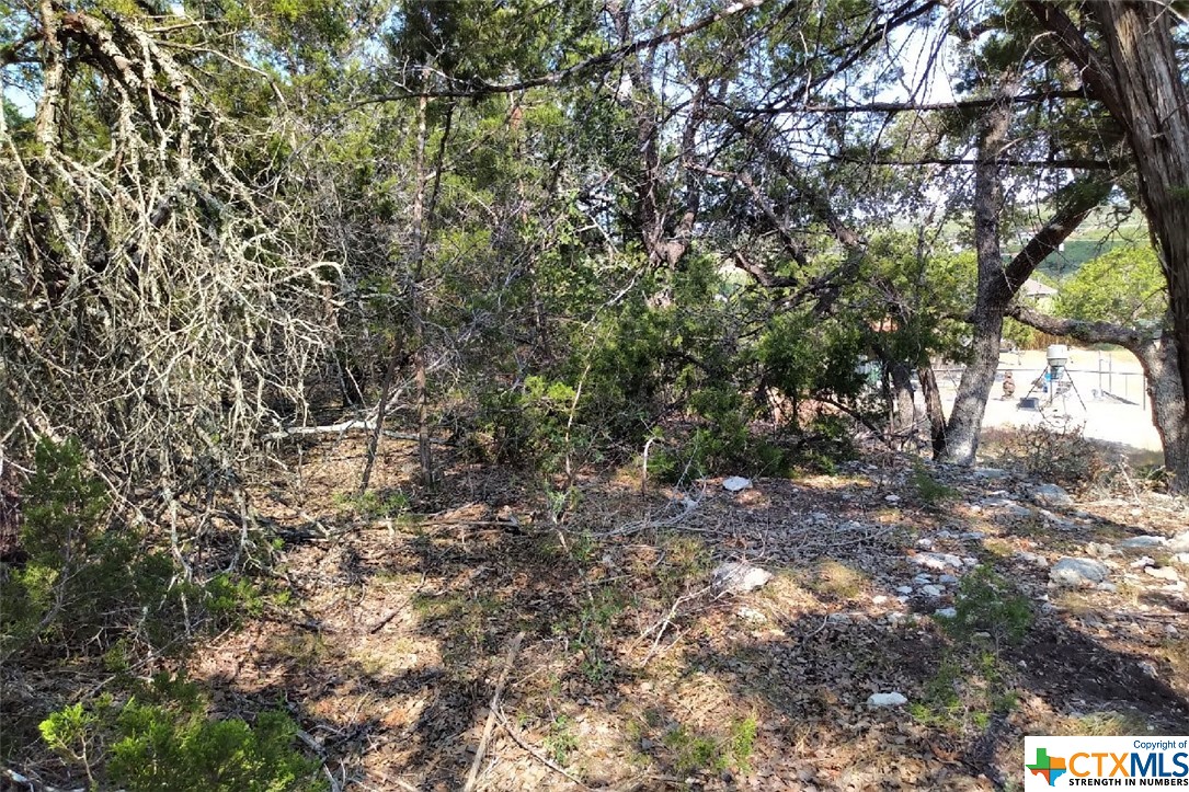 1151 Rocky Ridge Loop Property Photo 3