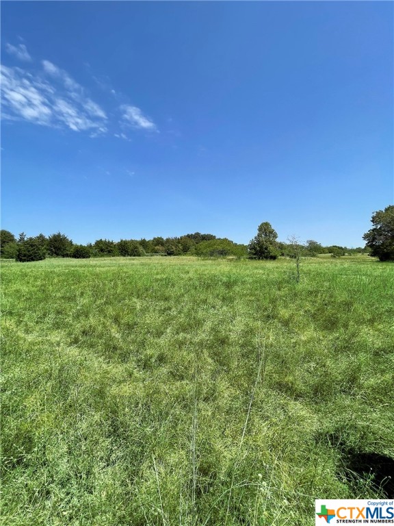 Tbd Oak Mott Road Property Photo 1