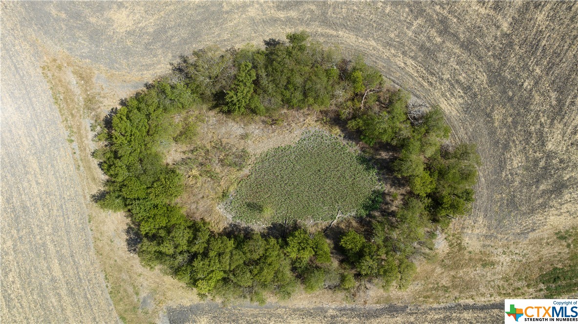 7208 Fm 2268 Property Photo 8