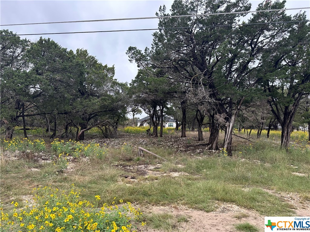 15975 Crockett Drive Property Photo 1