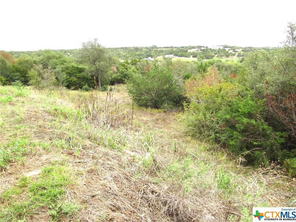 212 Dawna Len Drive Property Photo 9